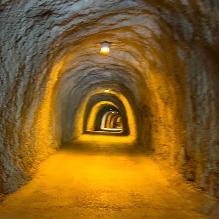 birgezginadam