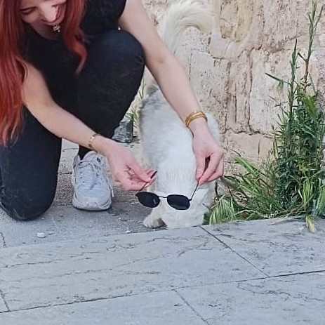bizimkikoylu