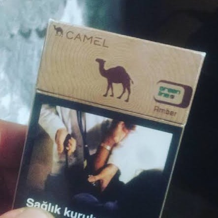 camelkahverengi
