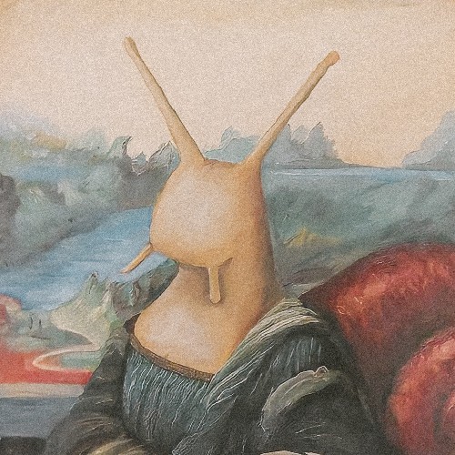 Profile of elidorin
