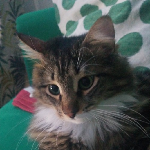 kullanıcı hairway2steven ekşi sözlük