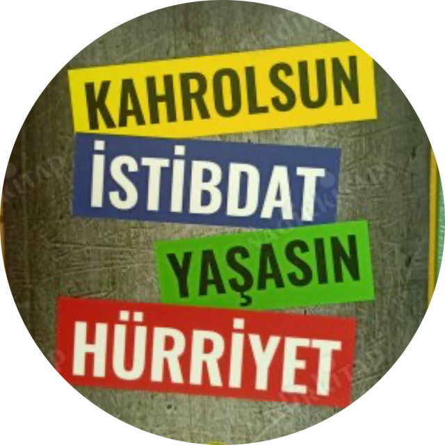 insan donuna girmis telli turna