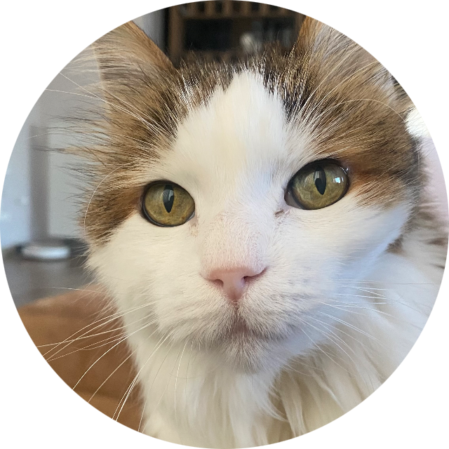 katzizu