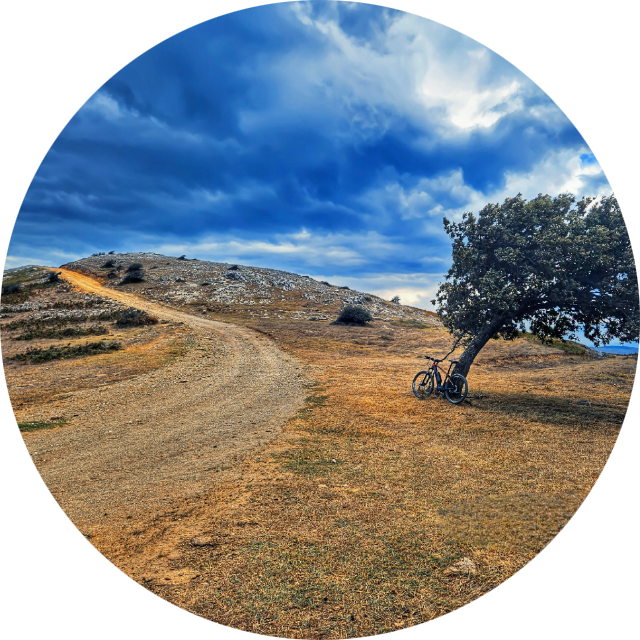 Profile of kingofthemountain
