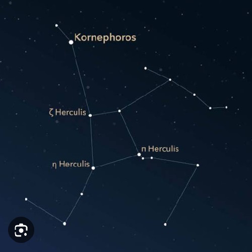 kornephroros