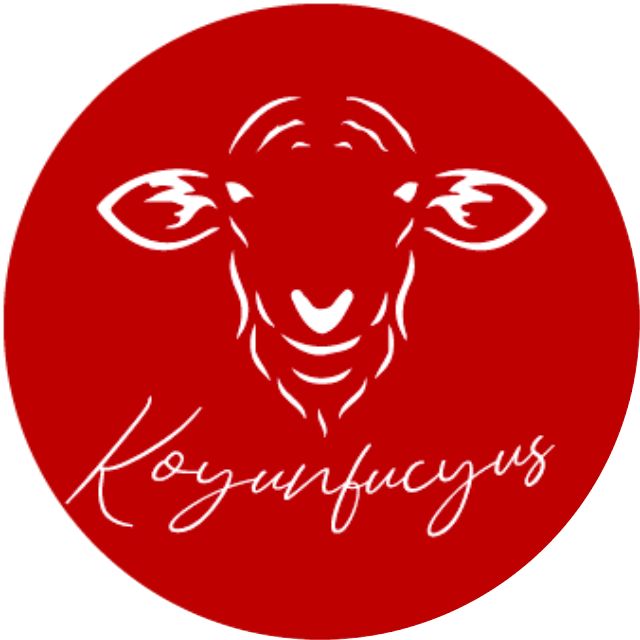 koyunfucyus
