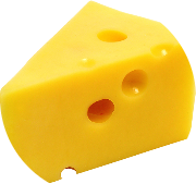 observation with cheese