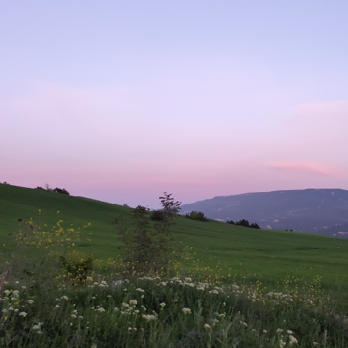 Profile of ormandenizi