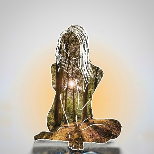 Profile of parnasala