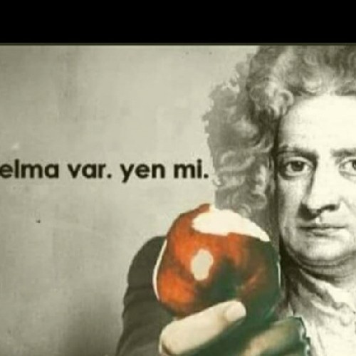 reoreis