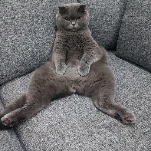 kullanıcı: risko - ekşi sözlük