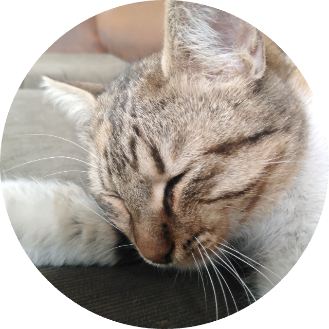 kullanıcı: saab 971 - ekşi sözlük