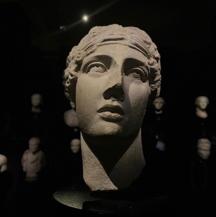 Profile of saintlibertas