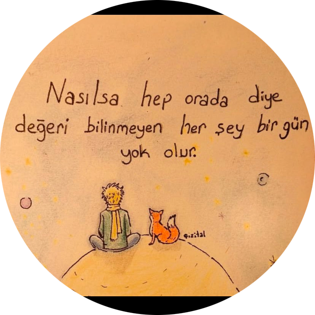 sana yaralarimdan cicekler biraktim