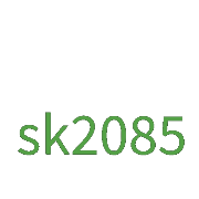 sk2085